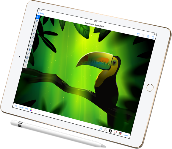 Inkpad Vector Graphic Design Illustration For Ipad