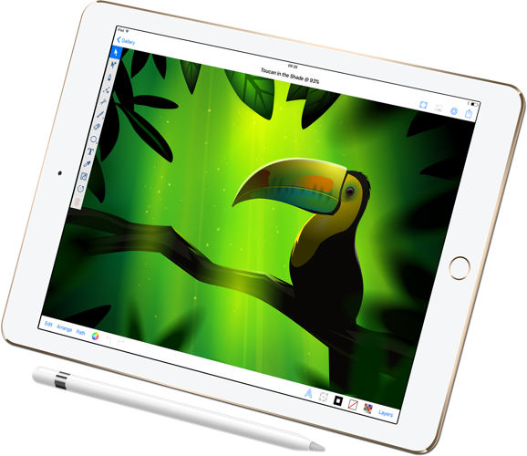 vector drawing mac tablet draw